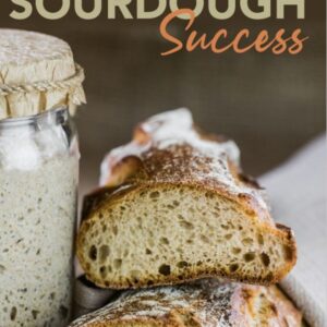 Sourdough Success: A Comprehensive Guide to Crafting Perfect Bread and Beyond - Hardcover